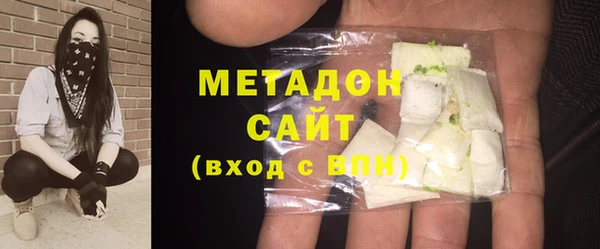 индика Алексин