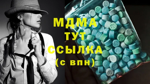 индика Алексин