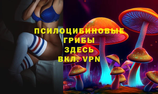 круглые Аркадак