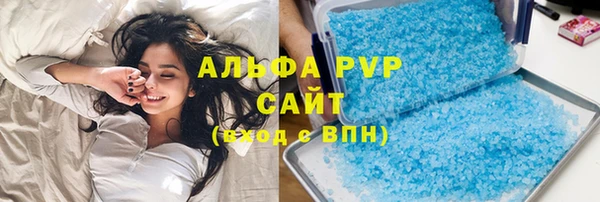 индика Алексин