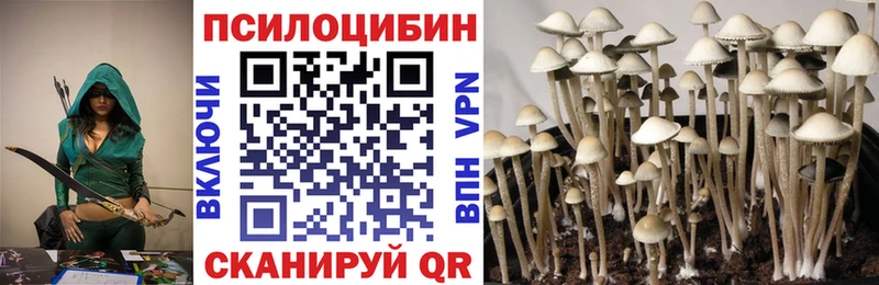 Псилоцибиновые грибы GOLDEN TEACHER это наркотические препараты Багратионовск закладка