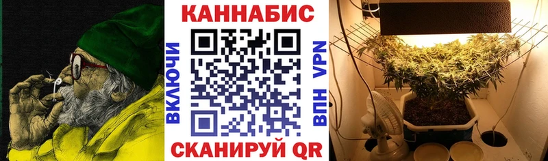 Бошки марихуана планчик  наркошоп  Багратионовск 